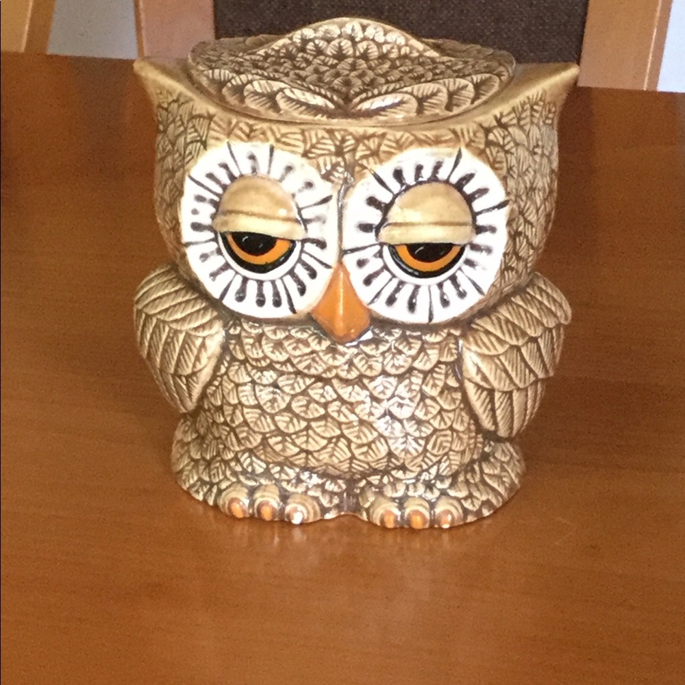 Owl Canister